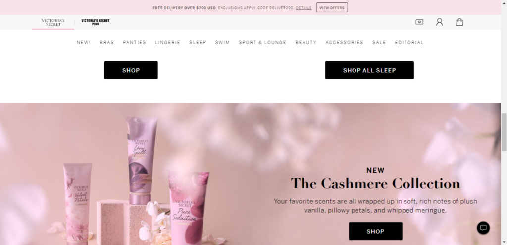 Screenshot of Victoria's Secret website as a n example of customer experience and market audience.