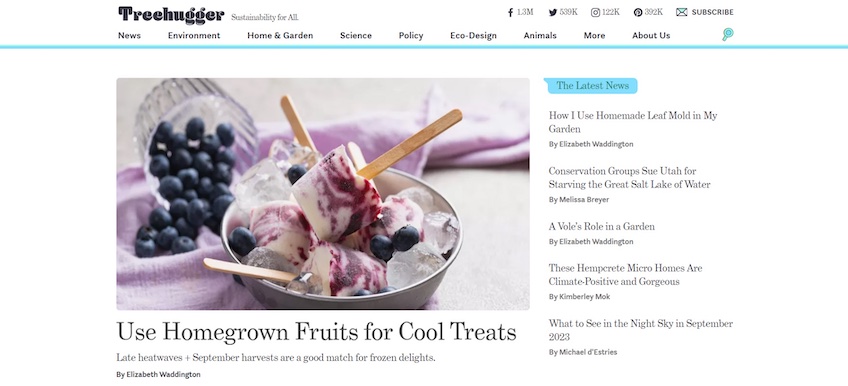 Treehugger site homepage.