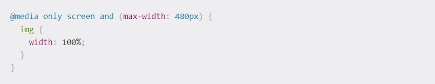 Code for image with width of 100%.