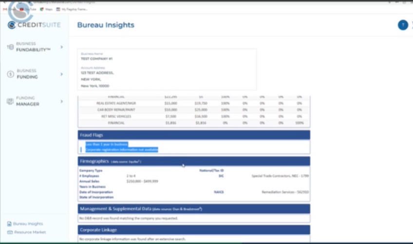 Credit Suite Bureau Insights page with information for a test company displayed. 