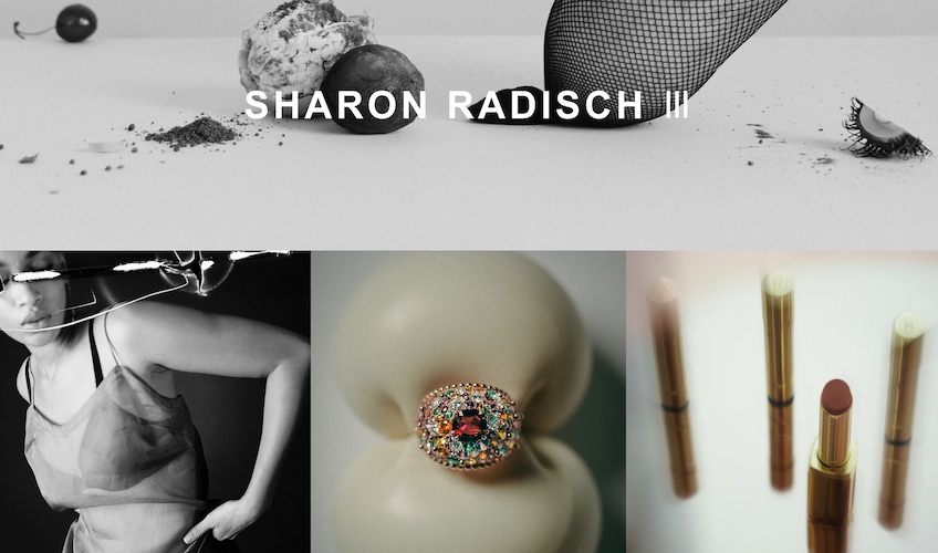 Screenshot of Sharon Radisch website example. 