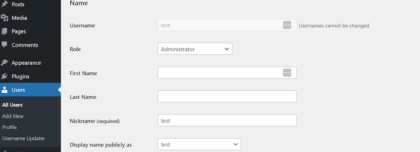 Name section of user account in WordPress.