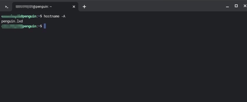 Screenshot of terminal application with hostname displayed differently.