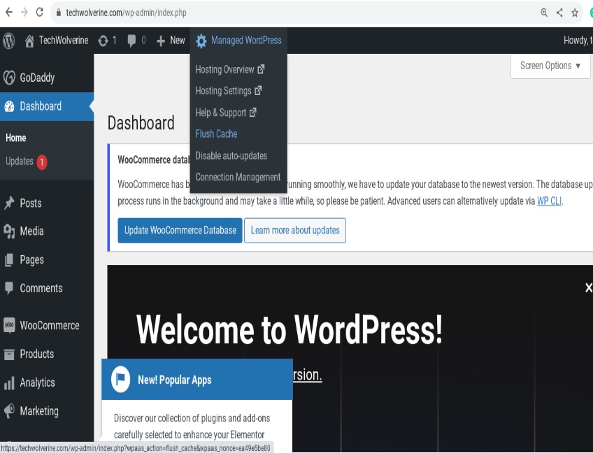 WordPress dashboard with the managed WordPress dropdown menu expanded. 
