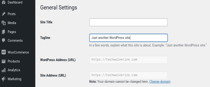 WordPress general settings page. 