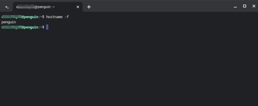 Screenshot of terminal application with hostname displayed.