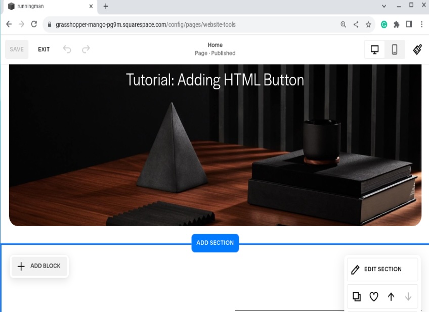 Squarespace site example with the add section option shown.