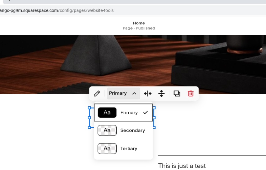 Menu to set function of button on Squarespace.