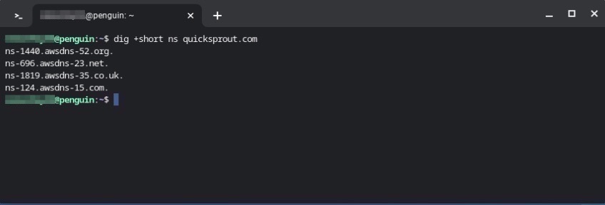 Captură de ecran a ferestrei de prompt de comandă a terminalului cu comanda "dig +short ns yourdomain.tld" introdus.