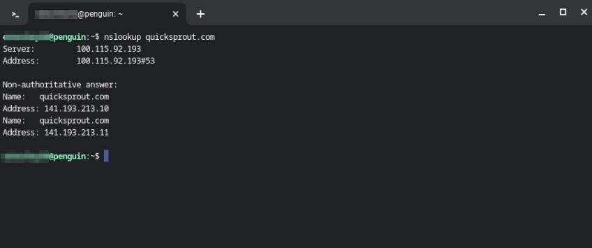 A record lookups issuing nslookup <domain name> from the command line.