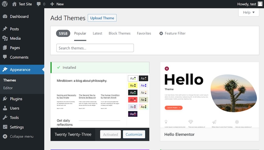 WordPress appearance menu to add themes. 