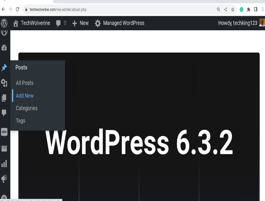 Add new post menu in WordPress. 