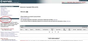 How to Copyright a Website