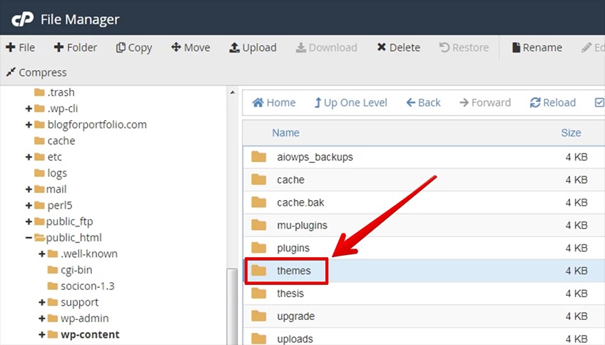 cPanel file manager with a red arrow pointing to the themes folder. 