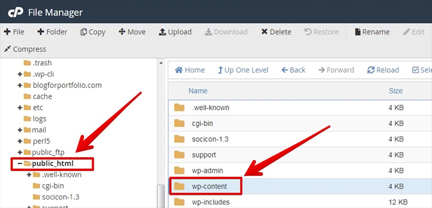 cPanel file manager with a red arrow pointing to wp-content and public_html. 
