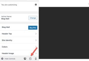 How to View Your Website on Mobile in 30 Seconds or Less