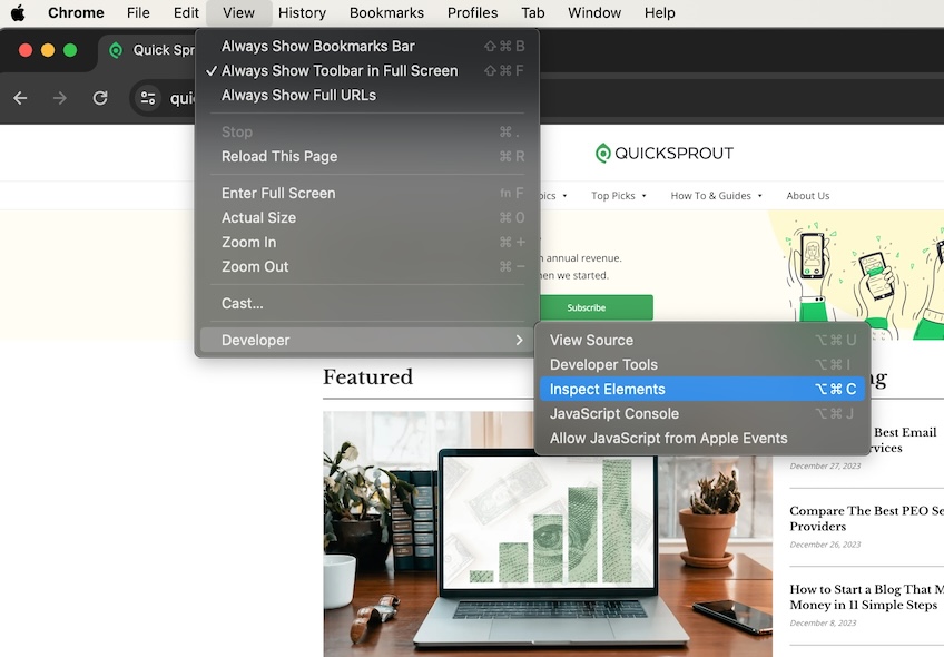 QuickSprout homepage with the View menu shown and the Developer option and Inspect Elements selection highlighted. 