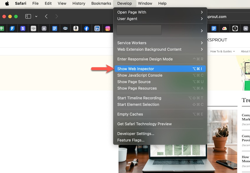 Safari web browser develop option with a red arrow pointing to the Show Web Inspector selection. 
